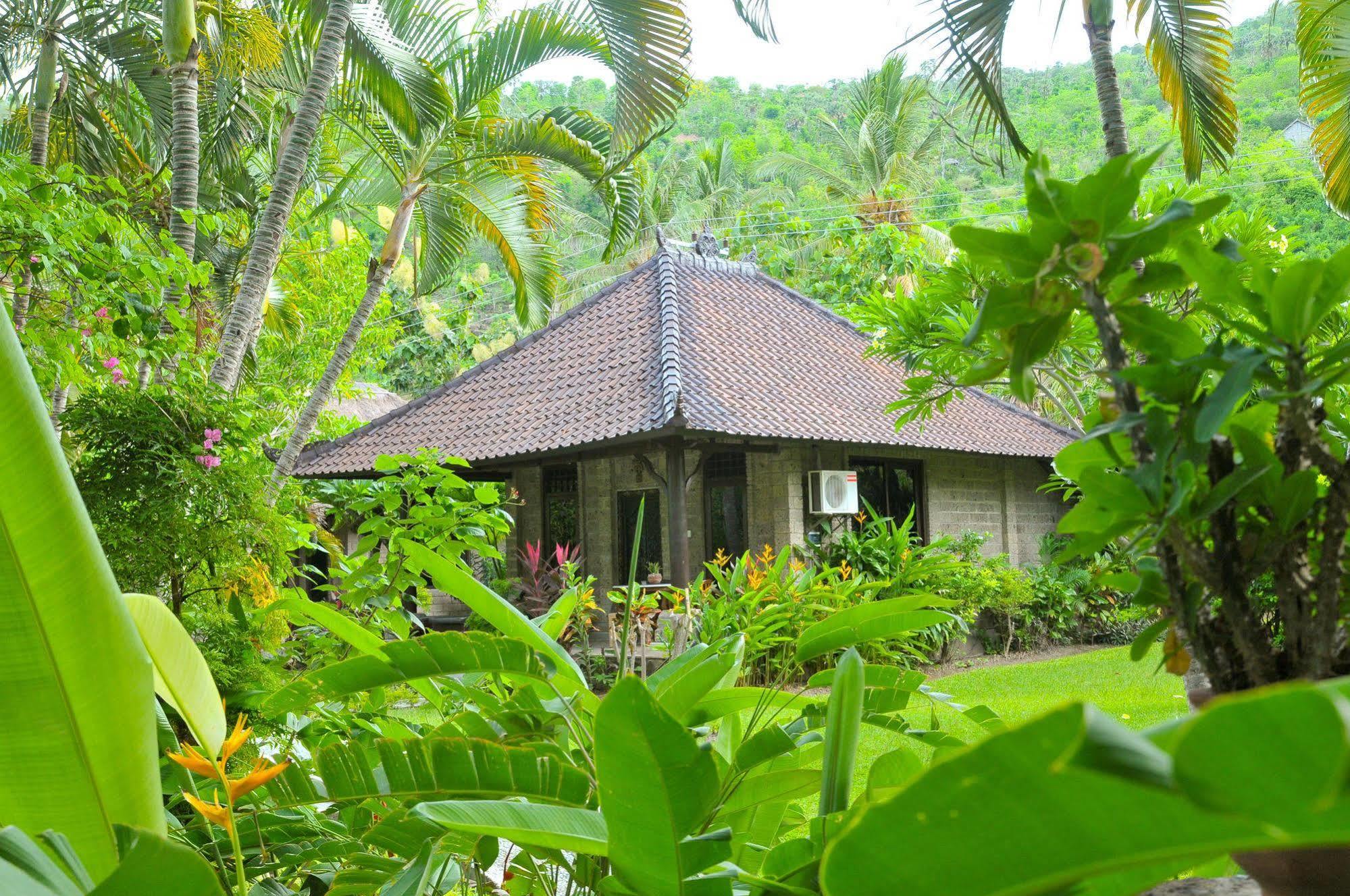 Coral View Villas Amed Exteriör bild